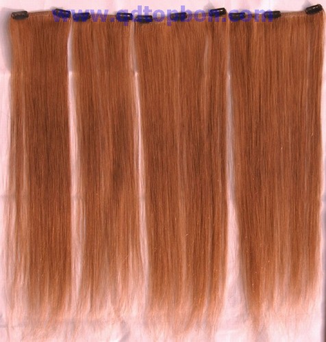 Clip-In Hair Extension