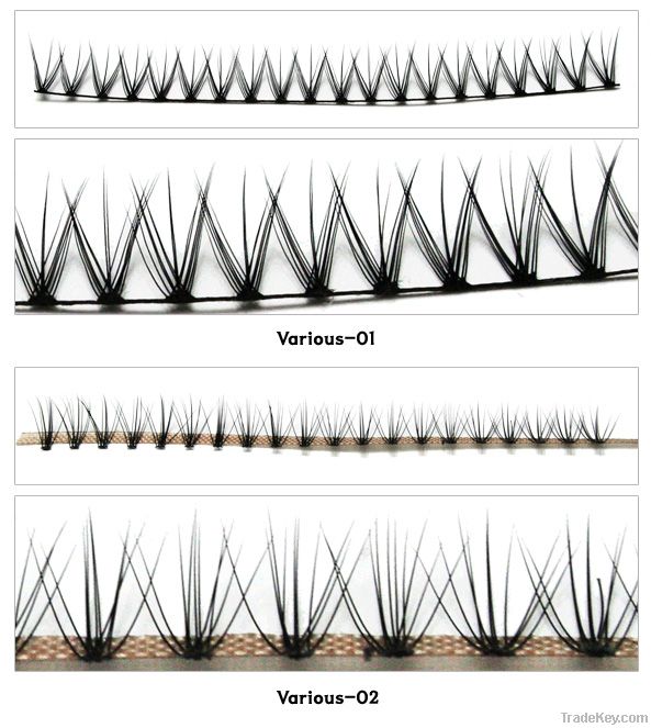 transparent line lash