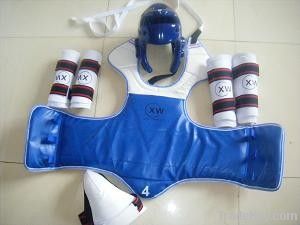 Taekwondo Protectors Set