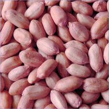 Groundnut, yellow maize