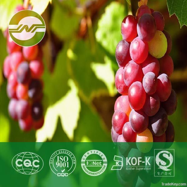 grape seed extract