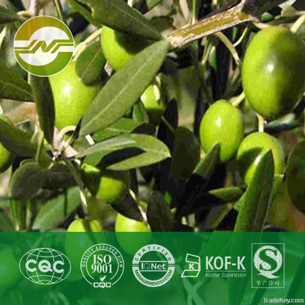 olive leaf extract