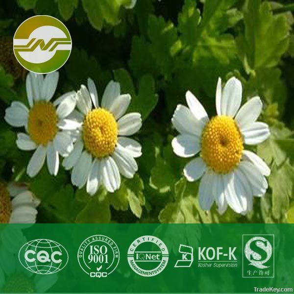 feverfew extract