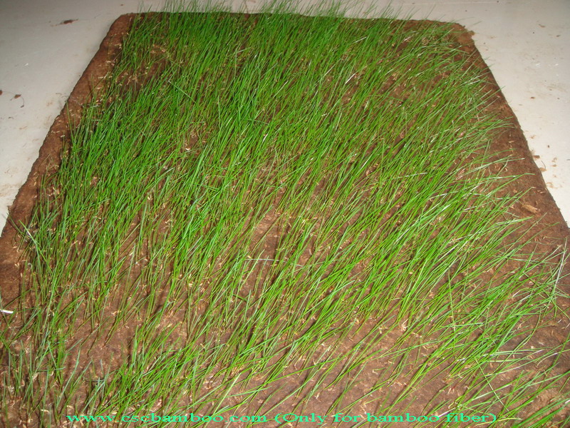 bamboo fiber ecomat and plant growth substrate