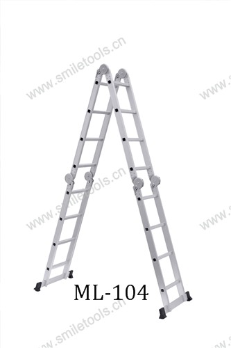 multi-purpose ladder