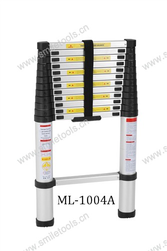 telescopic ladder