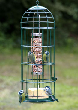 wild bird feeder