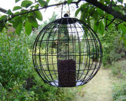 Squirrel Proof Wild Bird Nut Feeder