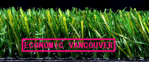 NM-004, ECONOMIC VANCOUVER, artificial grass, new moon grass, CE