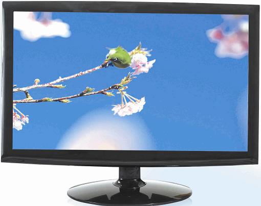 LM1759 17&quot; LED monitor