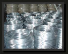 Galvanized Wire