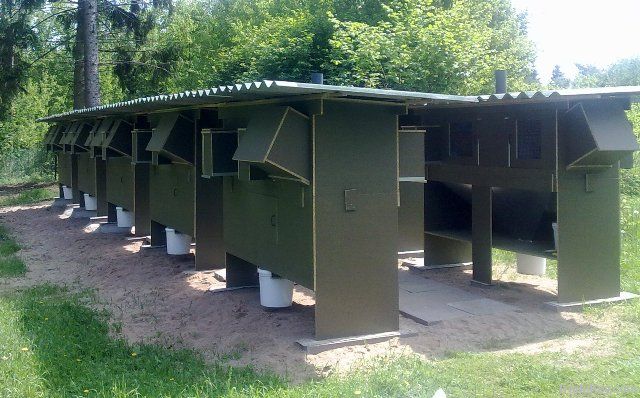 Rabbit Hutches