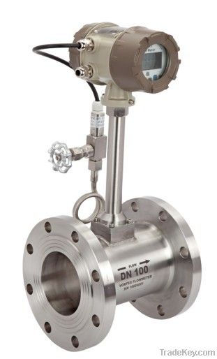 Steam flowmeter