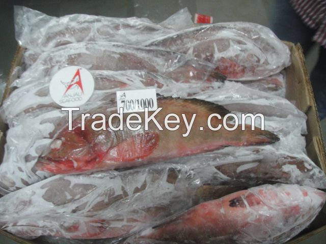 REEFCOD