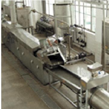 potato chips processing machinery