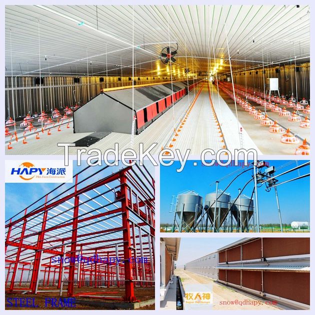 Poultry house automatic equipment and steel structure construction