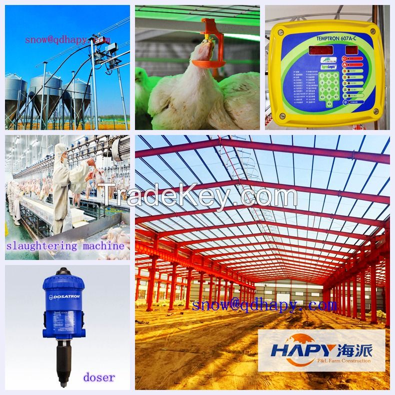 Poultry house automatic equipment and steel structure construction