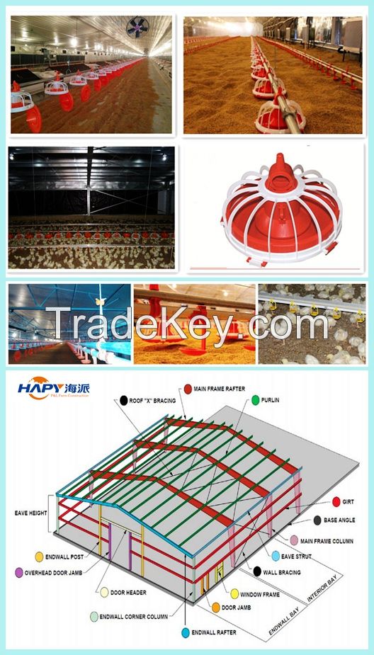 Poultry house automatic equipment and steel structure construction