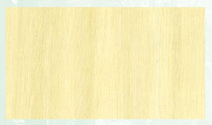 poplar plywood