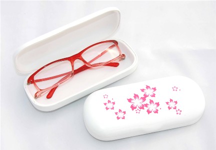 eyewear cases