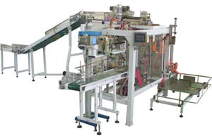 GFDP Automatic Bag Feeding Packaging Machinery