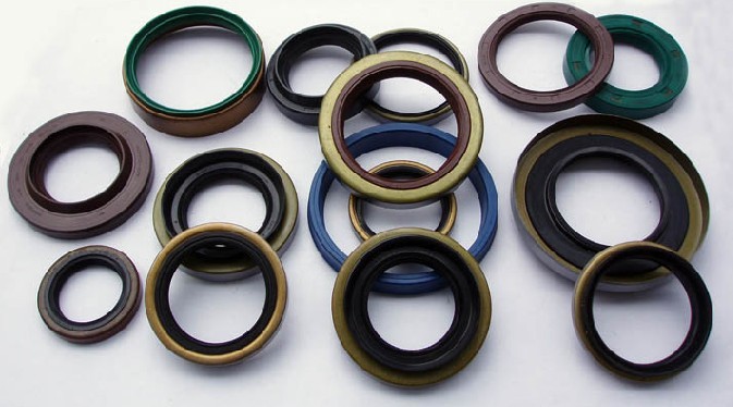 oil seals