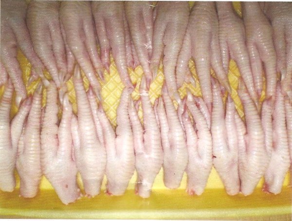 chicken feet grade A