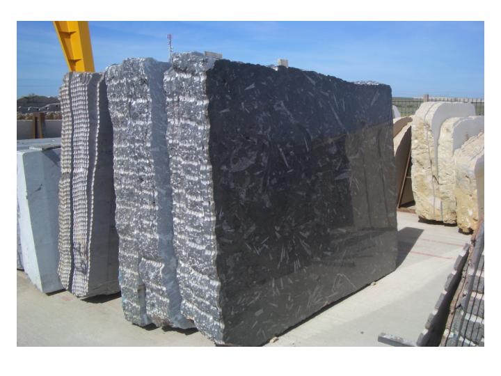 Fossil Marble Block ansd Slabs