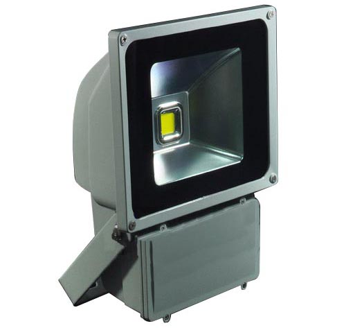 Nature LED Flood Light