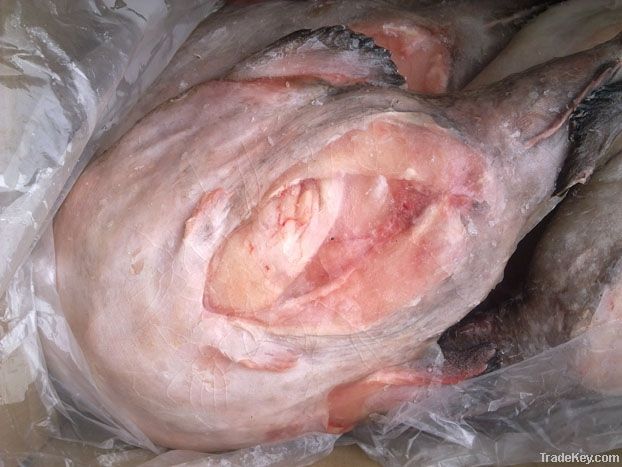 monkfish