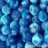 Blueberry anthocyanin