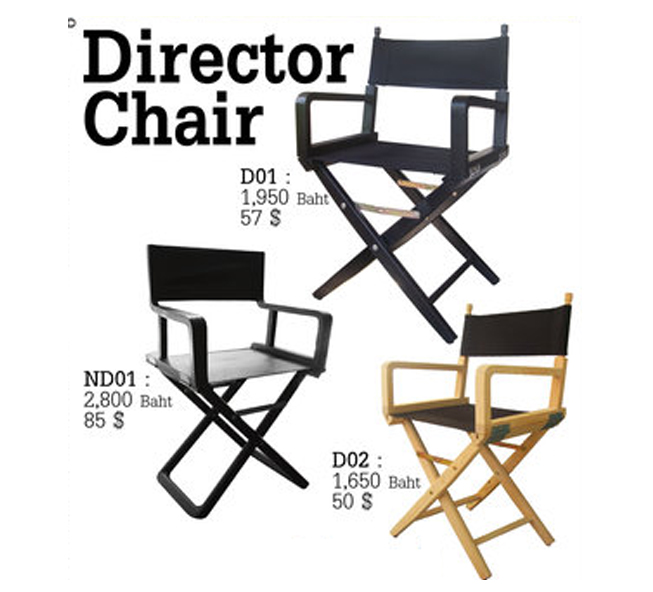 Director Chair