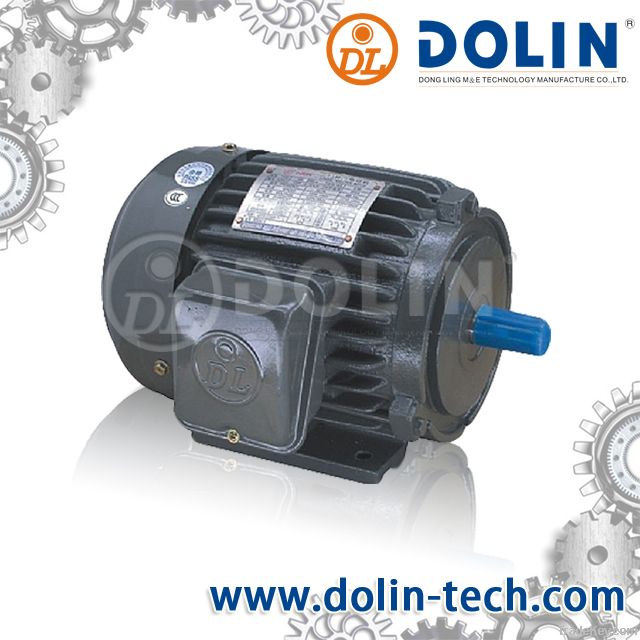 Three Phase Induction Motor