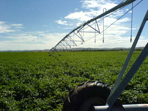 irrigation system