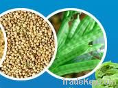 guar gum HS-Code- 130 232 30