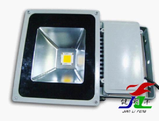 LED Flood light