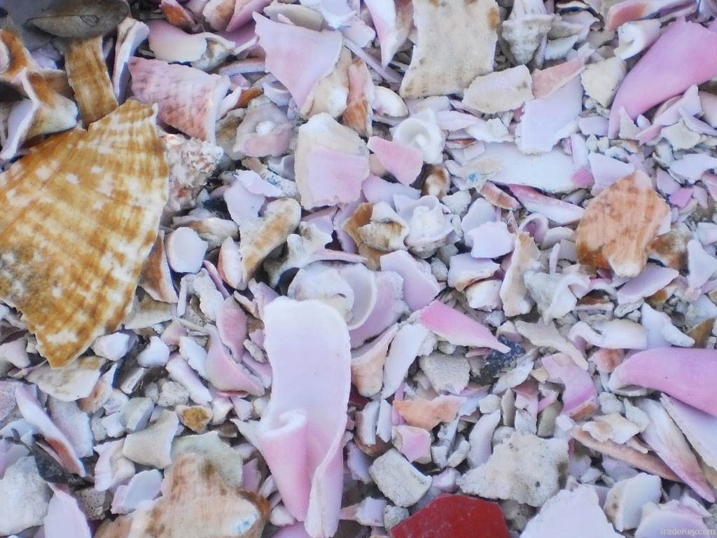 Broken &amp; Crushed Sea Shells