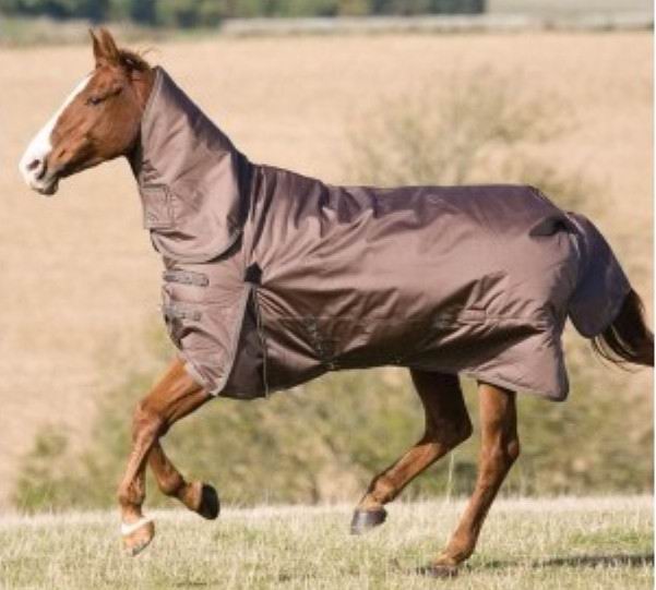 Waterproof Turnout Rugs Combo