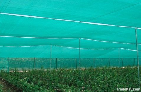 Agro sun shade net