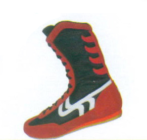 Boxing shoes