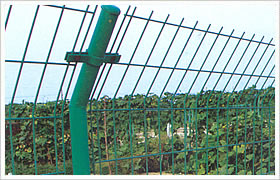 Wire Mesh Fence