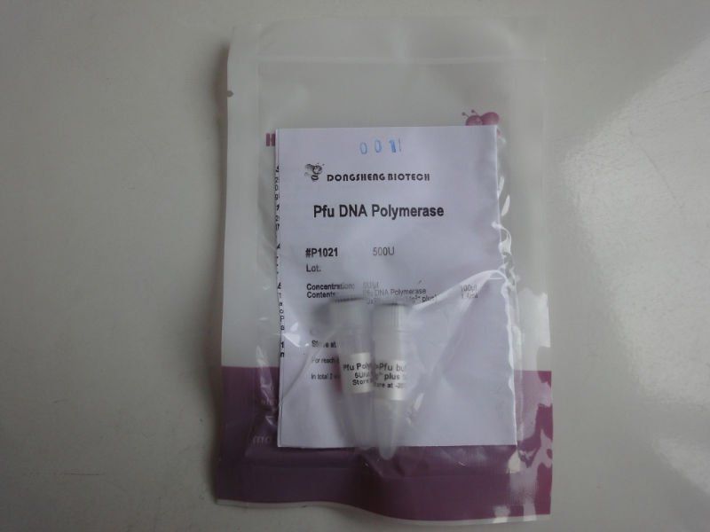 Pfu DNA Polymerase