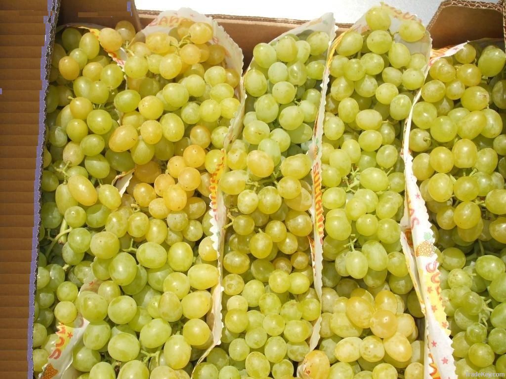 grapes