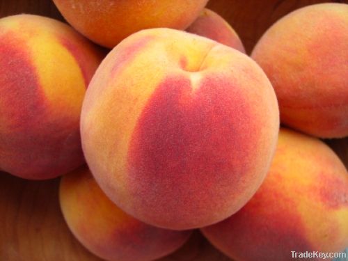 fresh Peaches