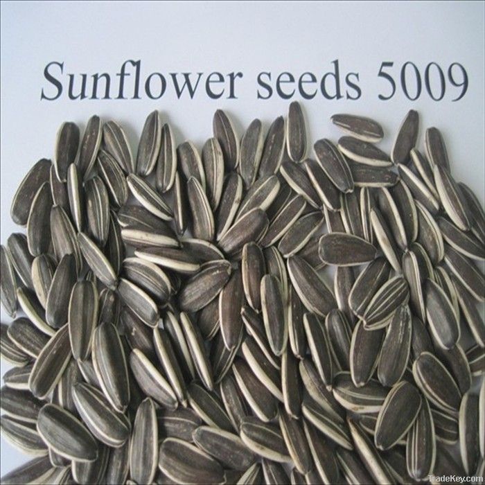 black sunflower seeds