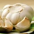 Garlic Extract 