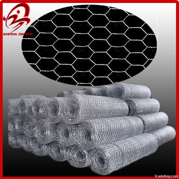 Hexagonal Wire Netting