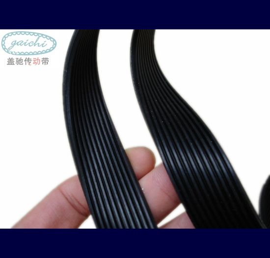 Ribbed V Belt