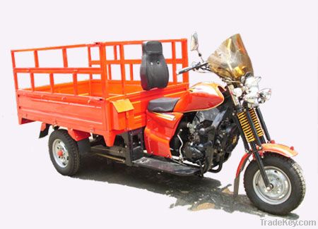 Cargo Tricycle