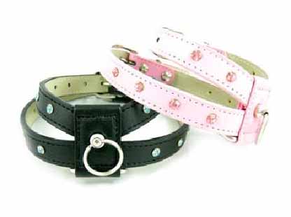 Pet harness/leash